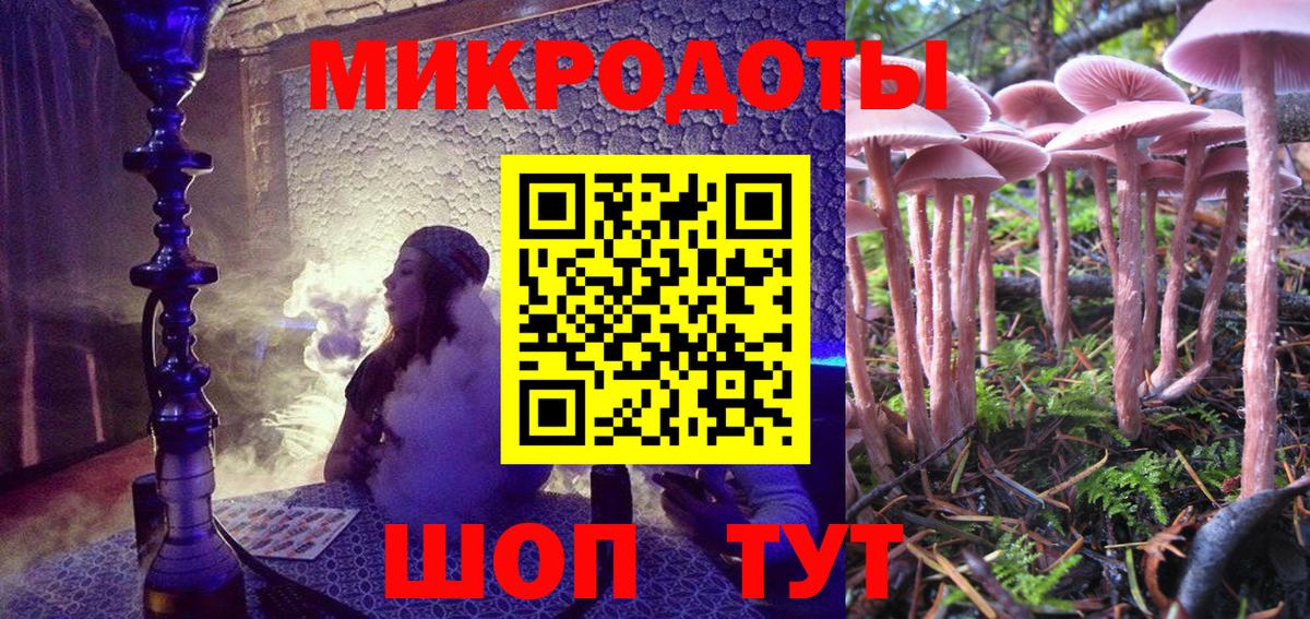 Камень-на-Оби  Псилоцибиновые грибы Cubensis  Вход с VPN 