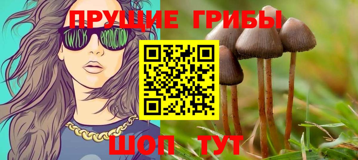Псилоцибиновые грибы мицелий Камень-на-Оби